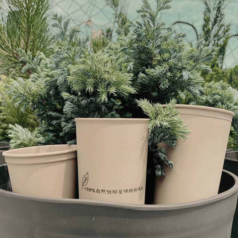 Eco-Friendly Reusable Cup – Sustainable Circulating Cup